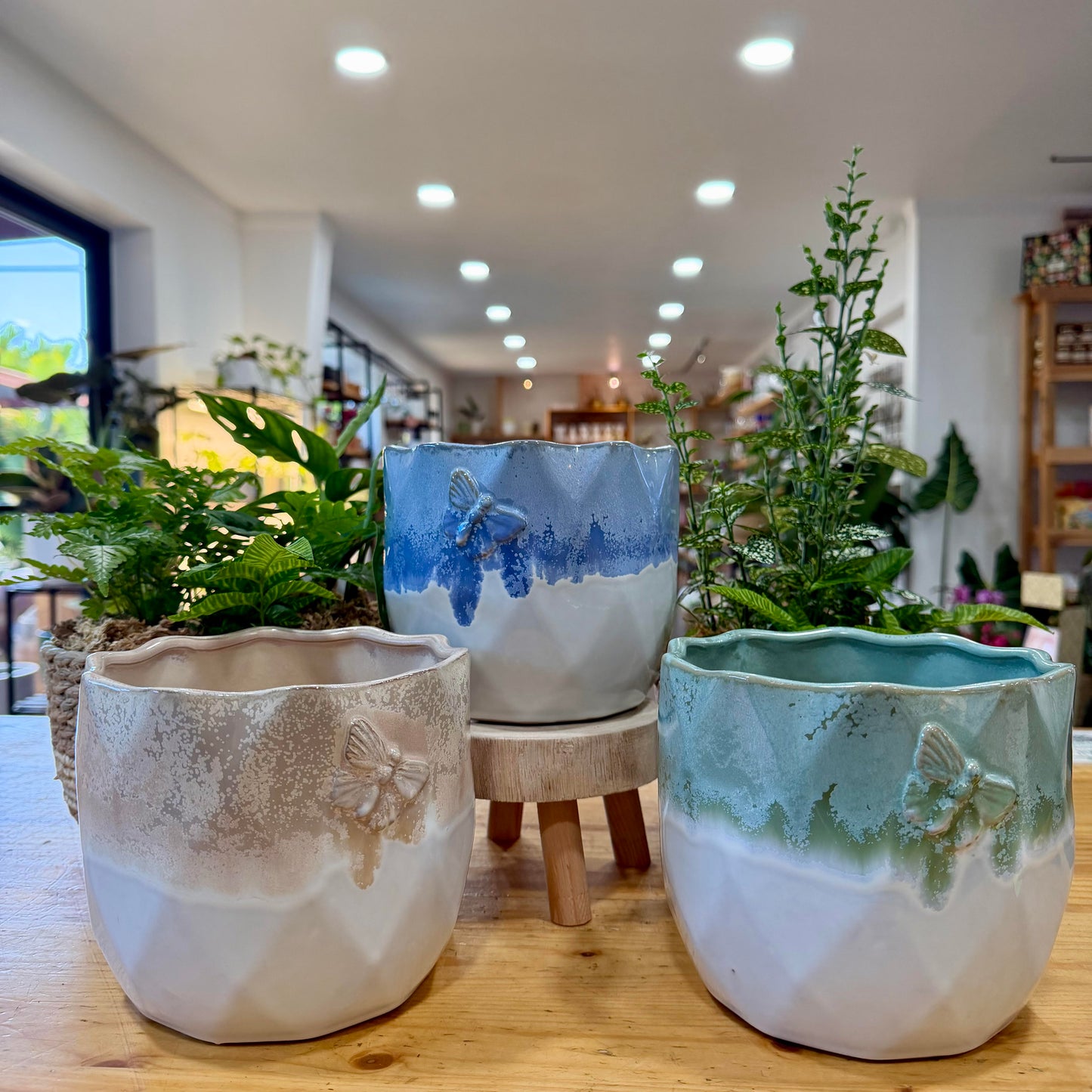 Edith Planter