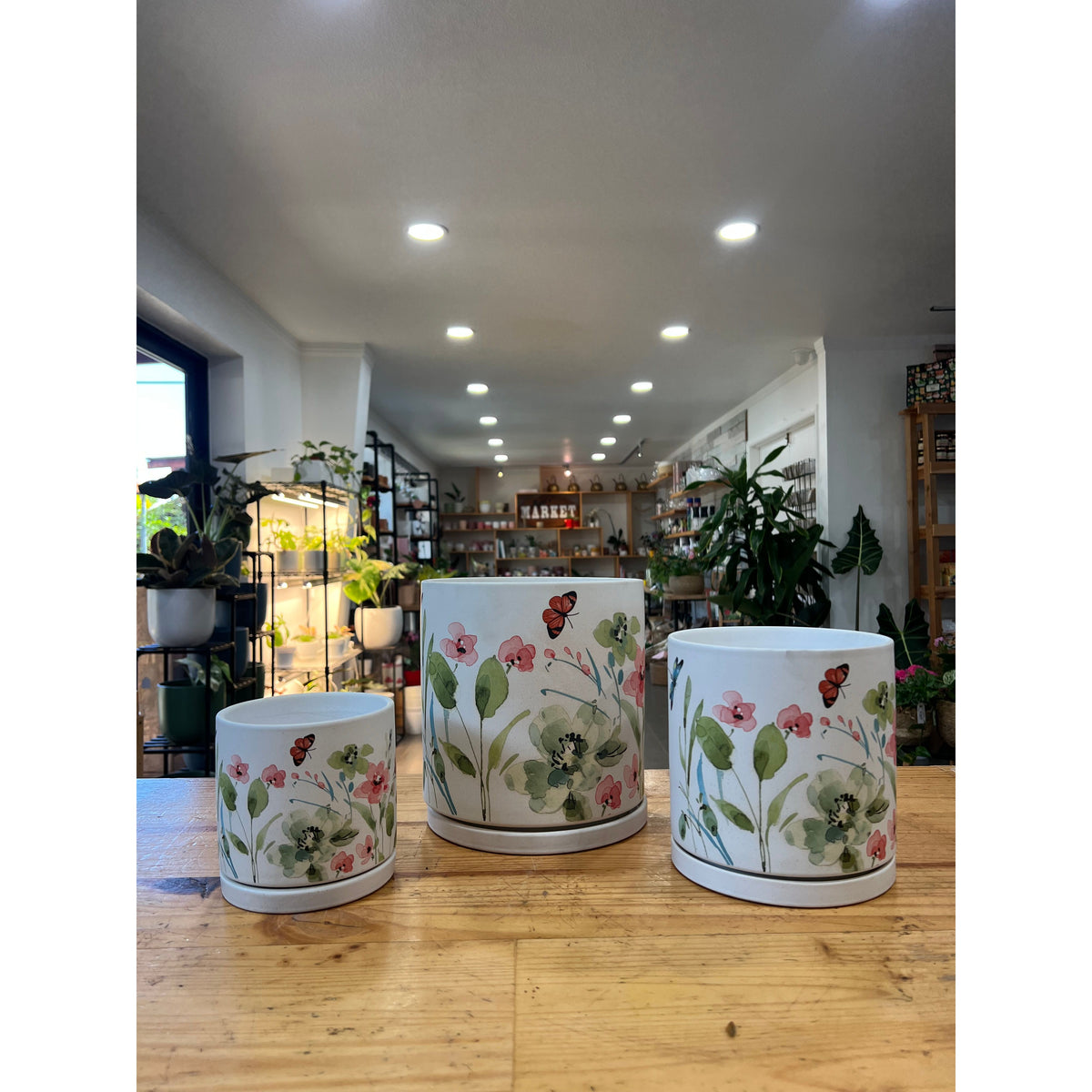 Eleanor Planter