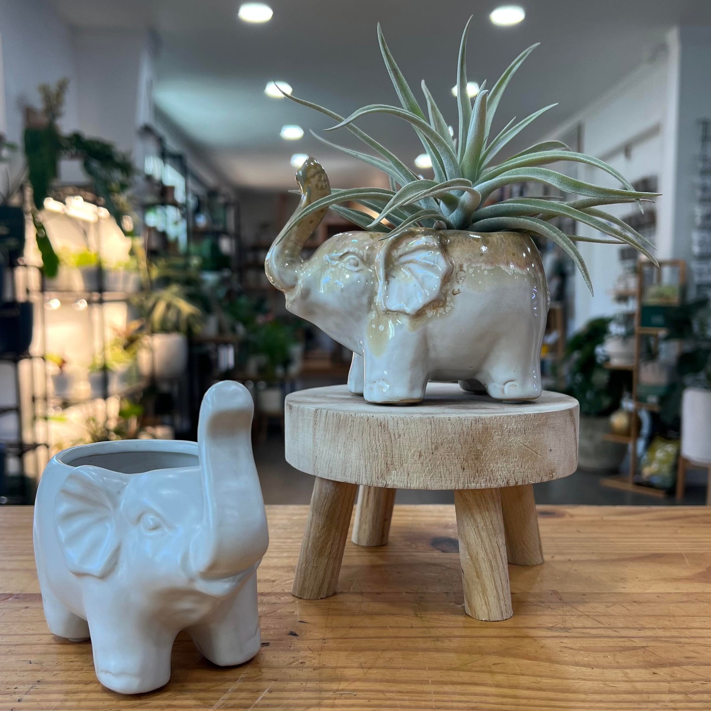5" Elephant Planter