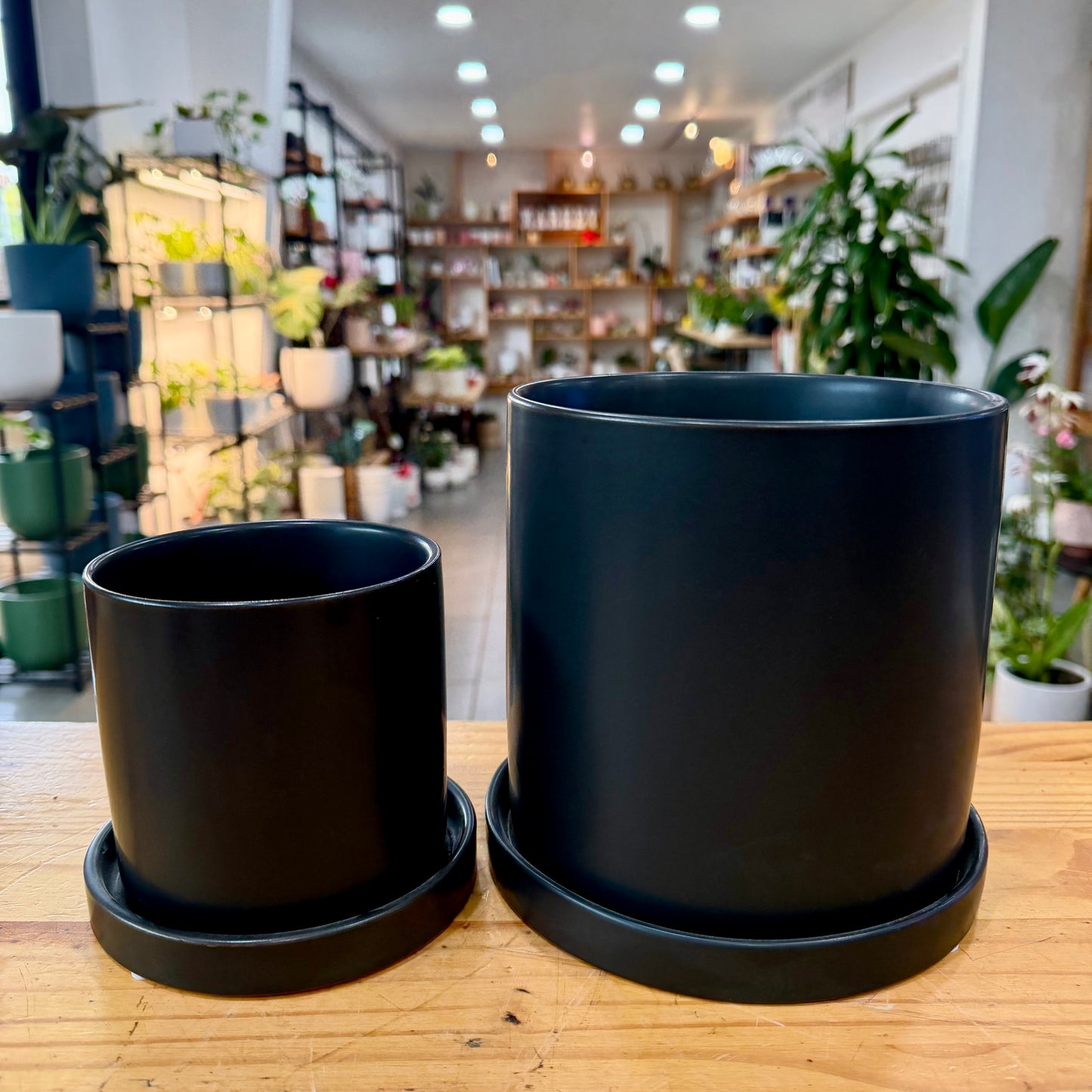 Exeter Planter