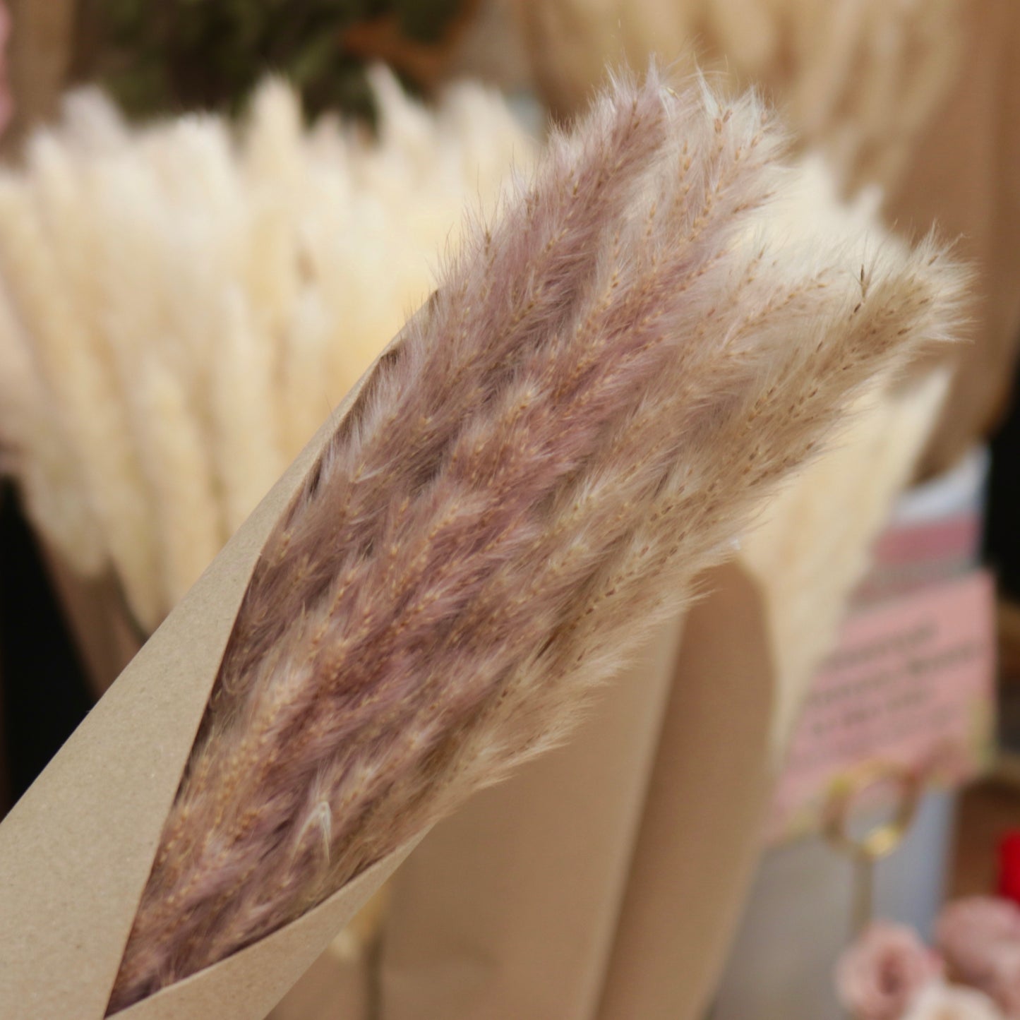 MUG Dried Flower Mini Bundles