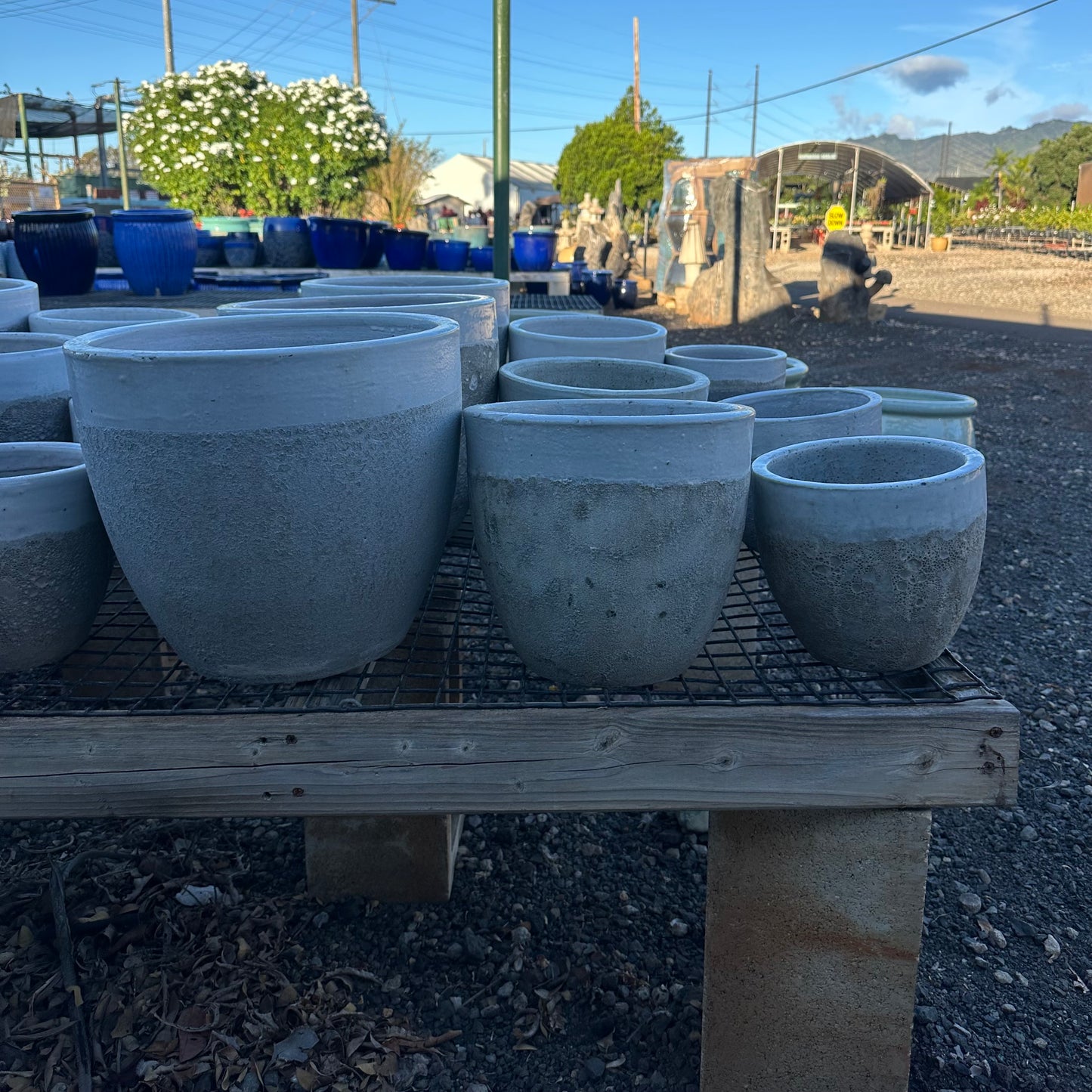 White Coral Ceramic Planter