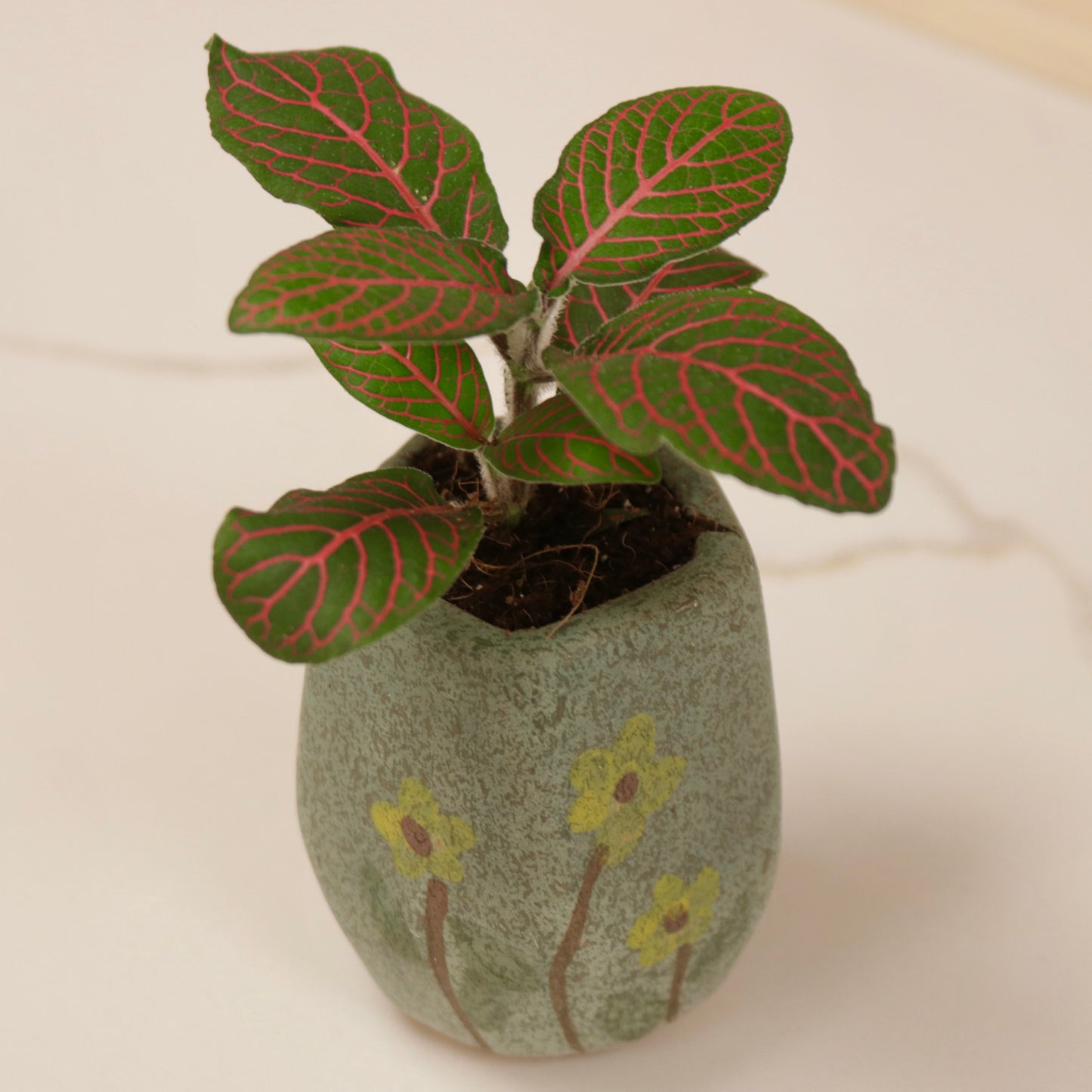 Floral Planter, 2"