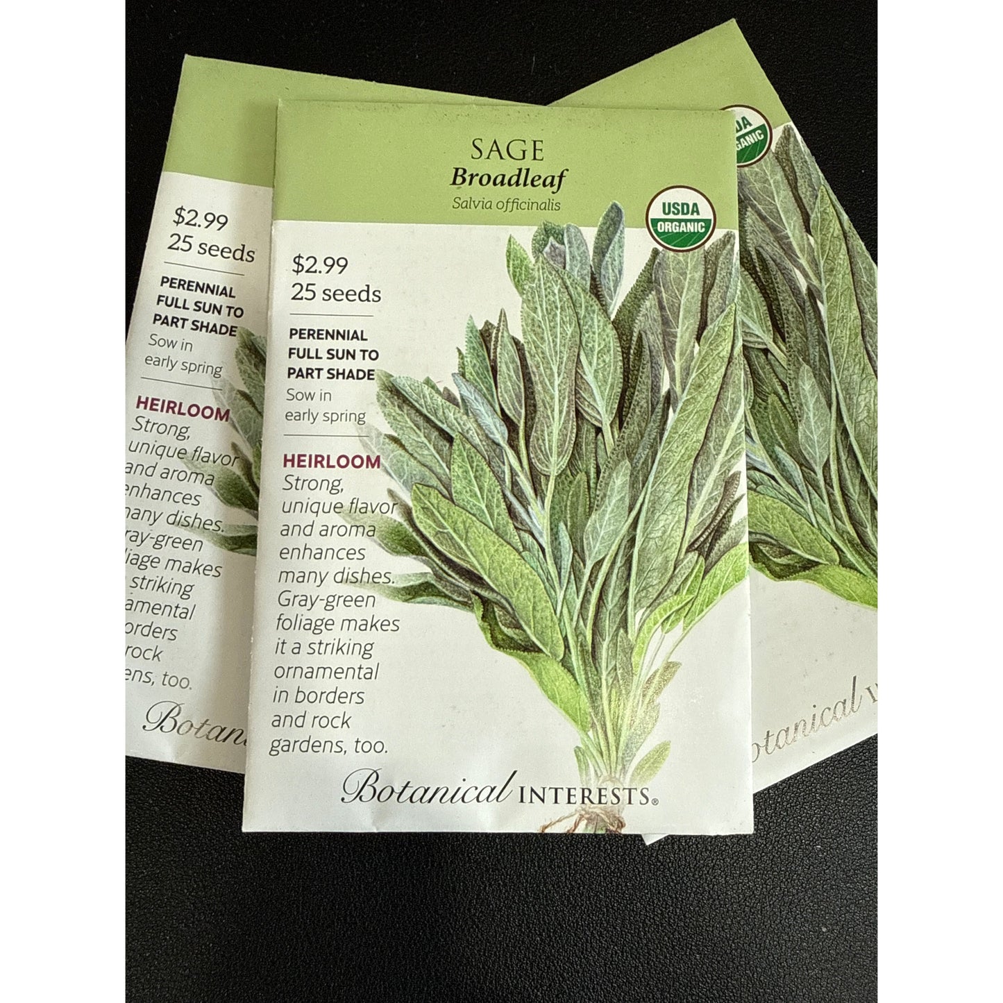 Sage seeds, "Broadleaf"