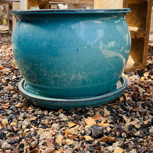 Fish Bowl Planter