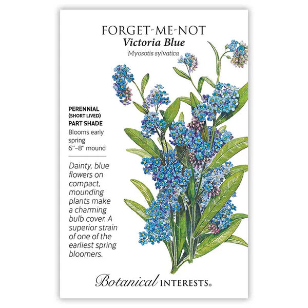 Forget Me Not seeds, "Victoria Blue"
