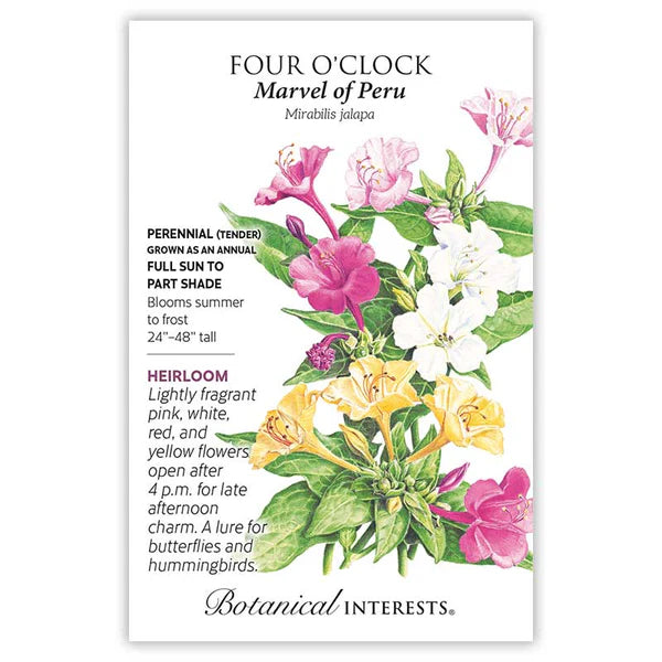Four O' Clock seeds, "Marvel of Peru"