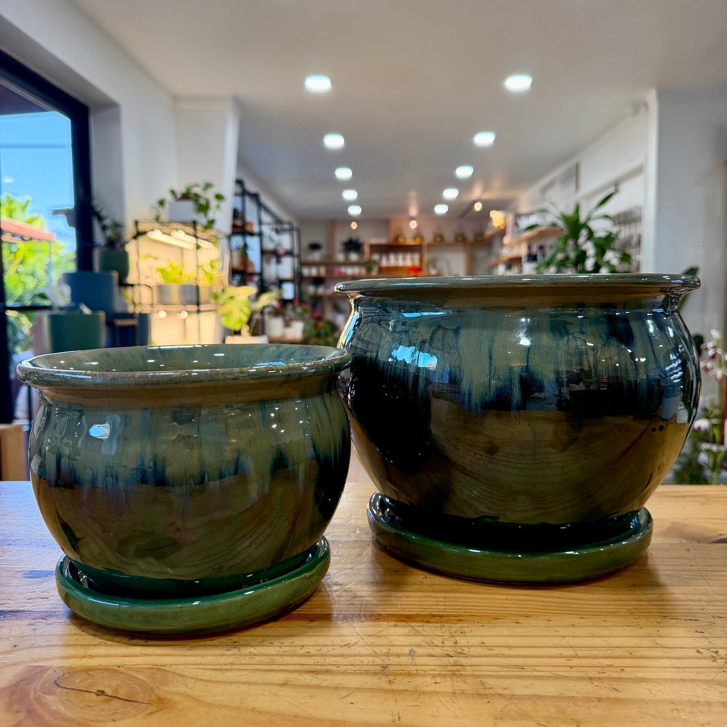 Fusion Fish Bowl Planters