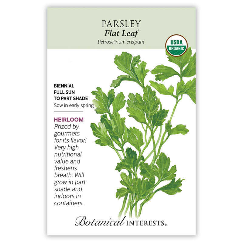 Parsley seeds 'Italian Giant'