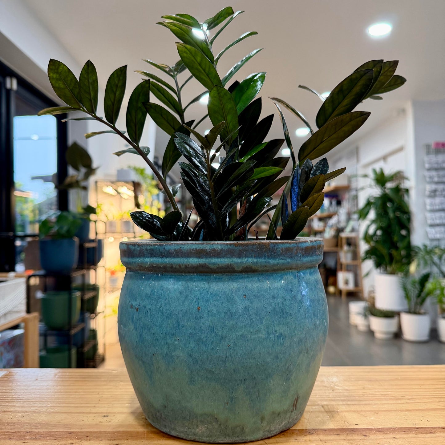6" Glazed Cement Planter
