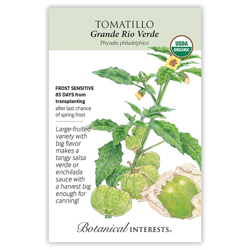 Tomatillo seeds 'Grande Rio Verde'