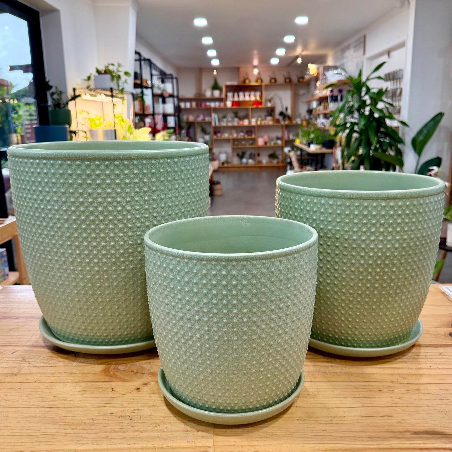 Sinatra Ceramic Planter