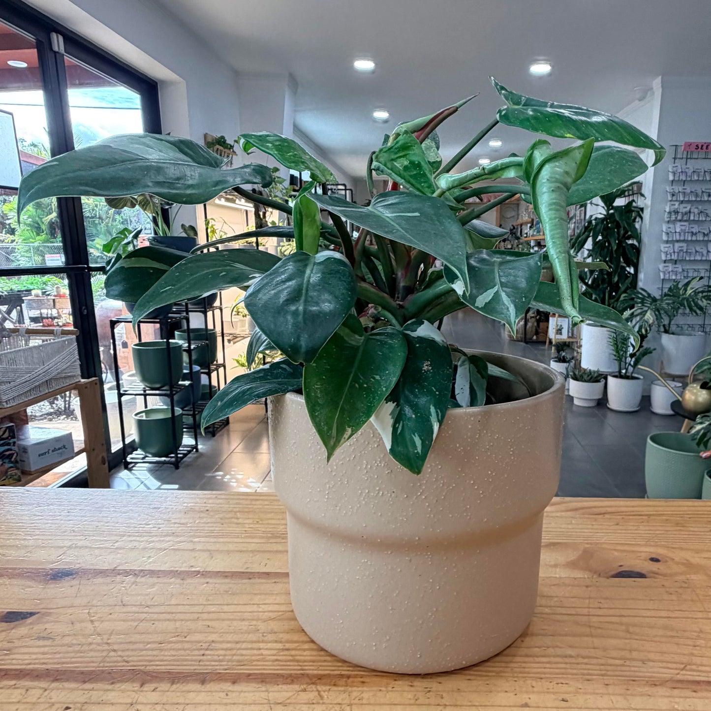9" Hennis Pot
