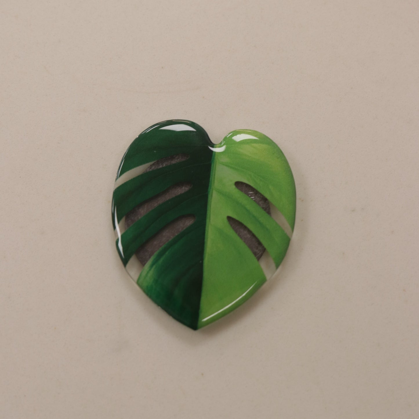 Plant Magnet