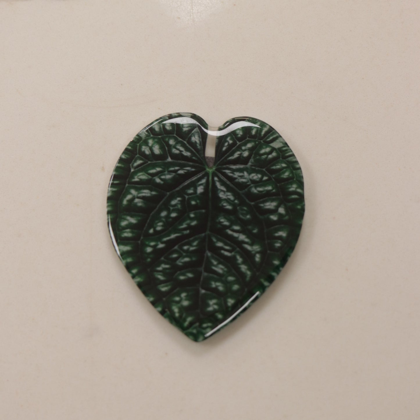 Plant Magnet