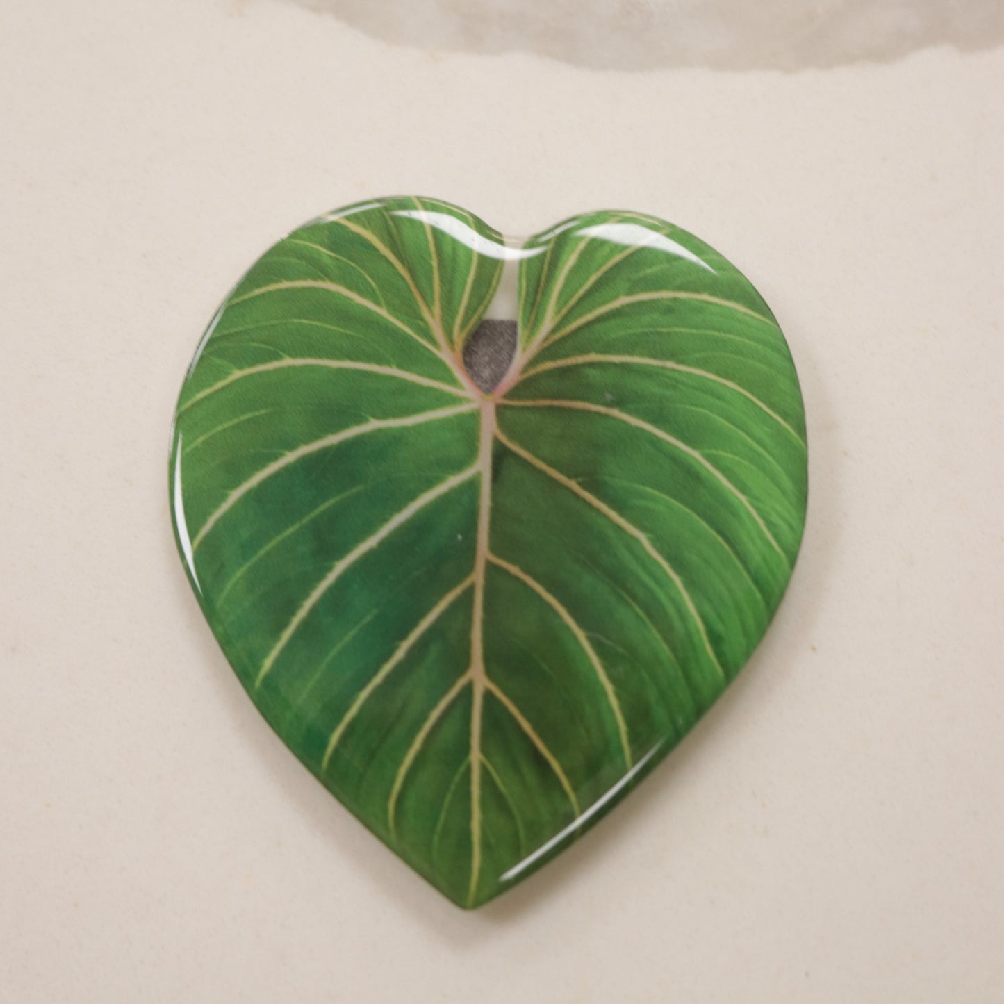 Plant Magnet