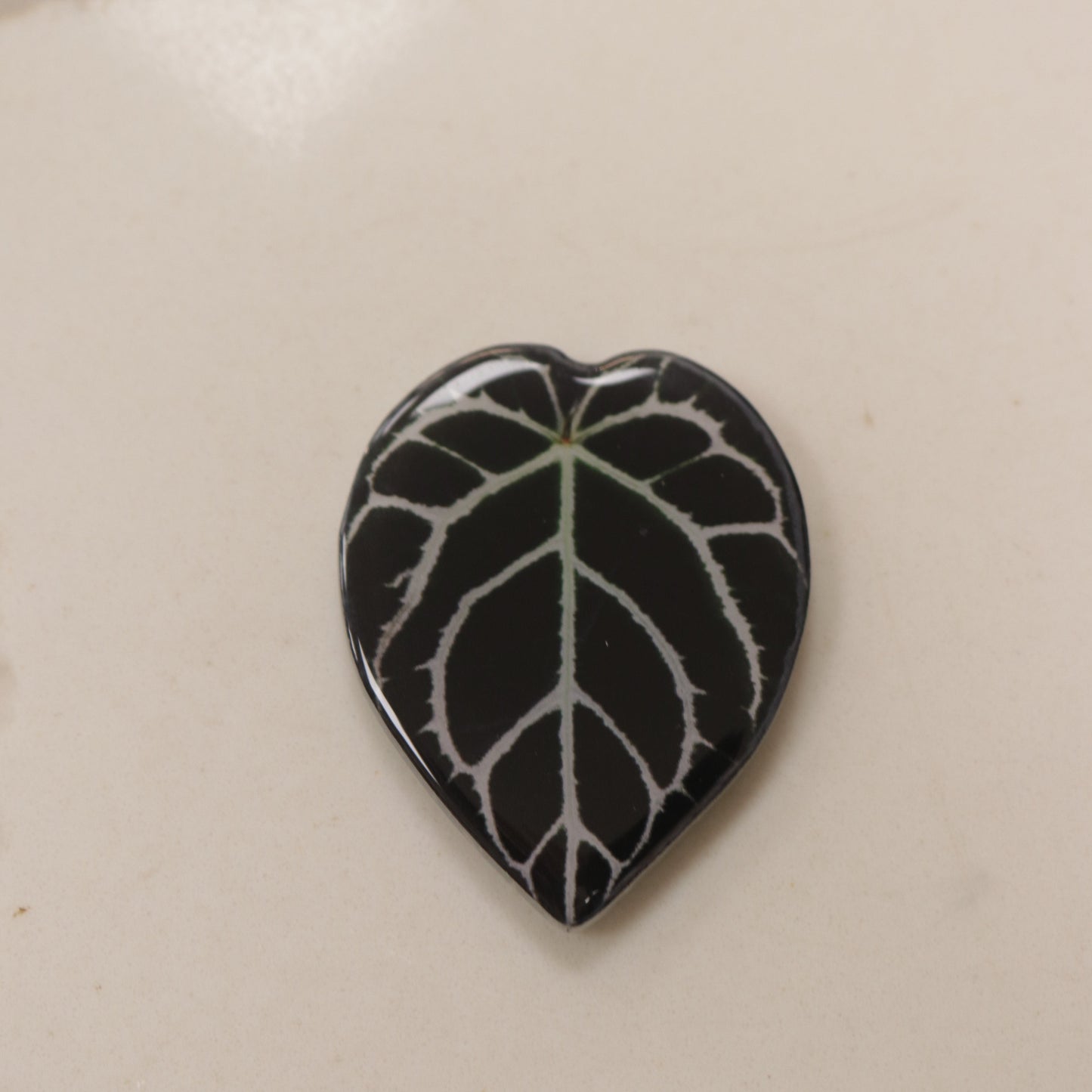 Plant Magnet