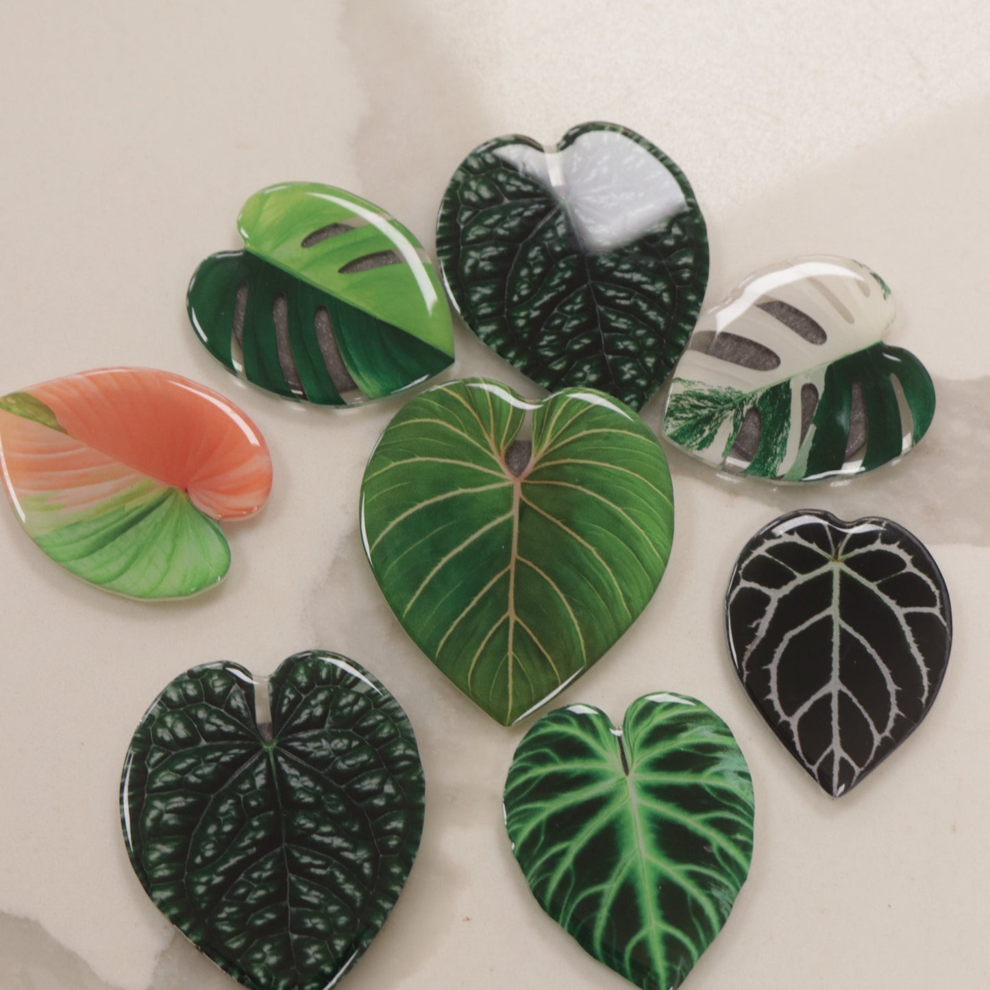 Plant Magnet