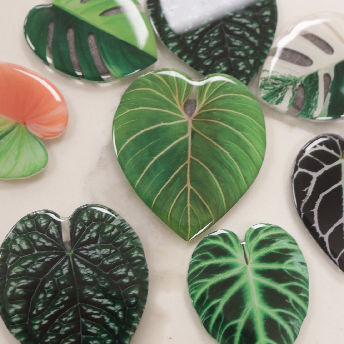 Plant Magnet