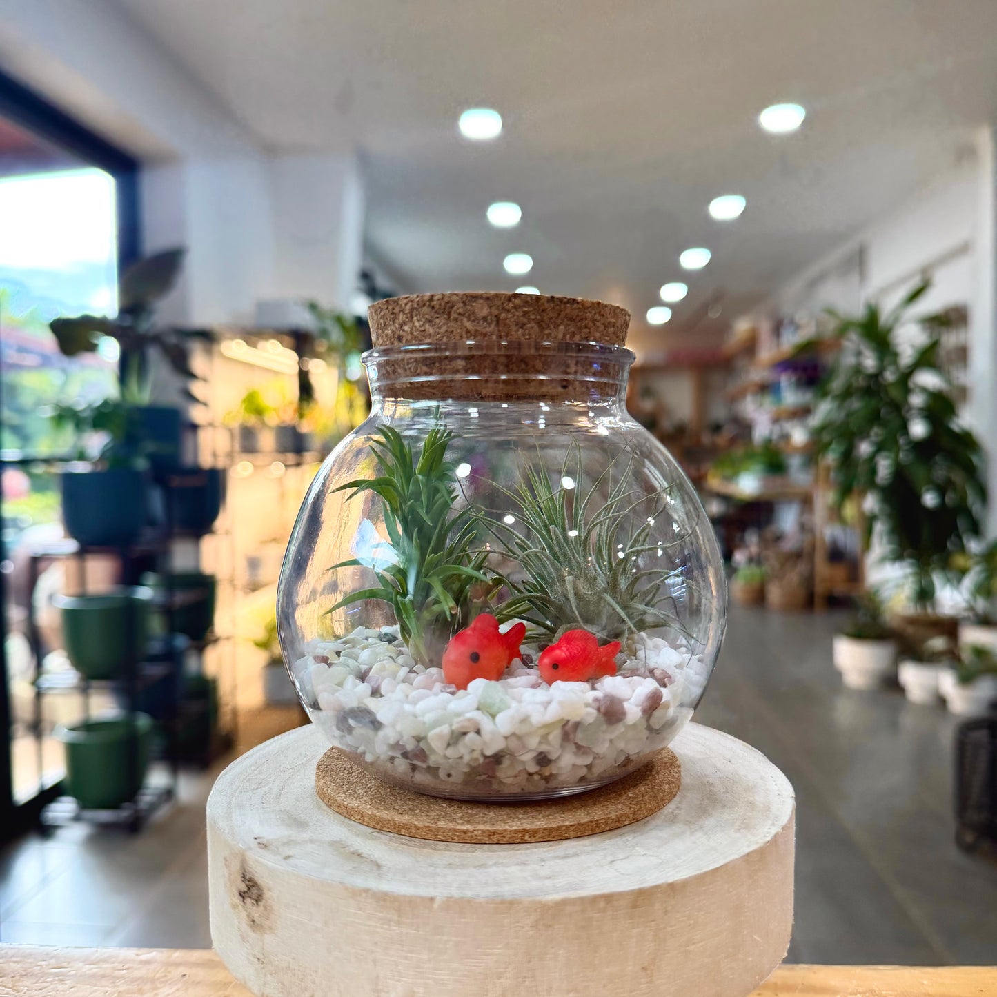 Propagation Bulb with Cork Lid and Base