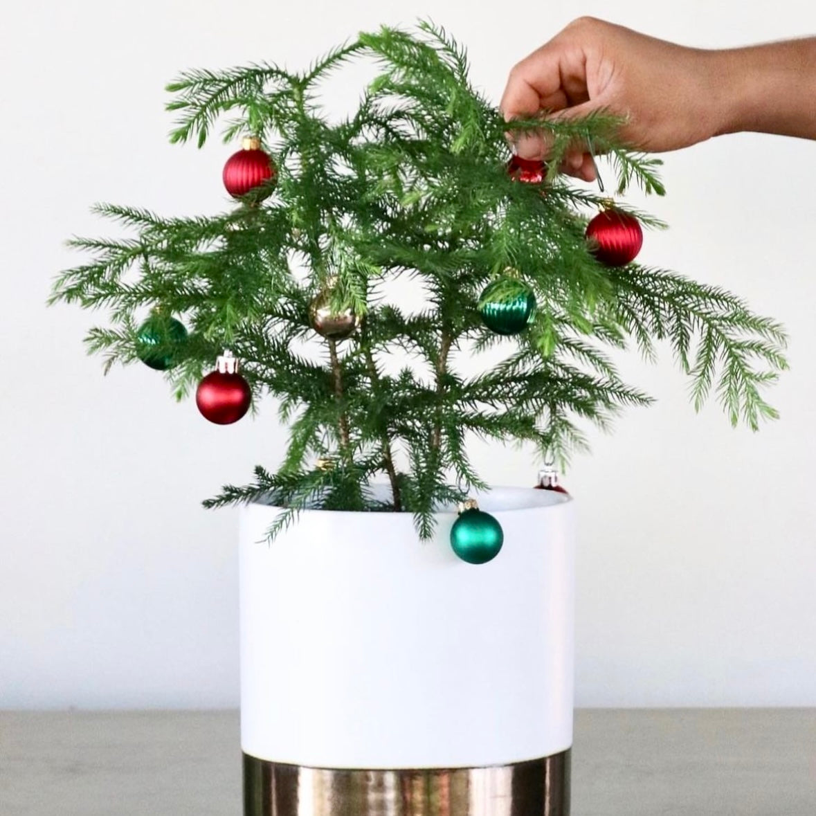 Decorate a Mini Christmas Tree with Us!