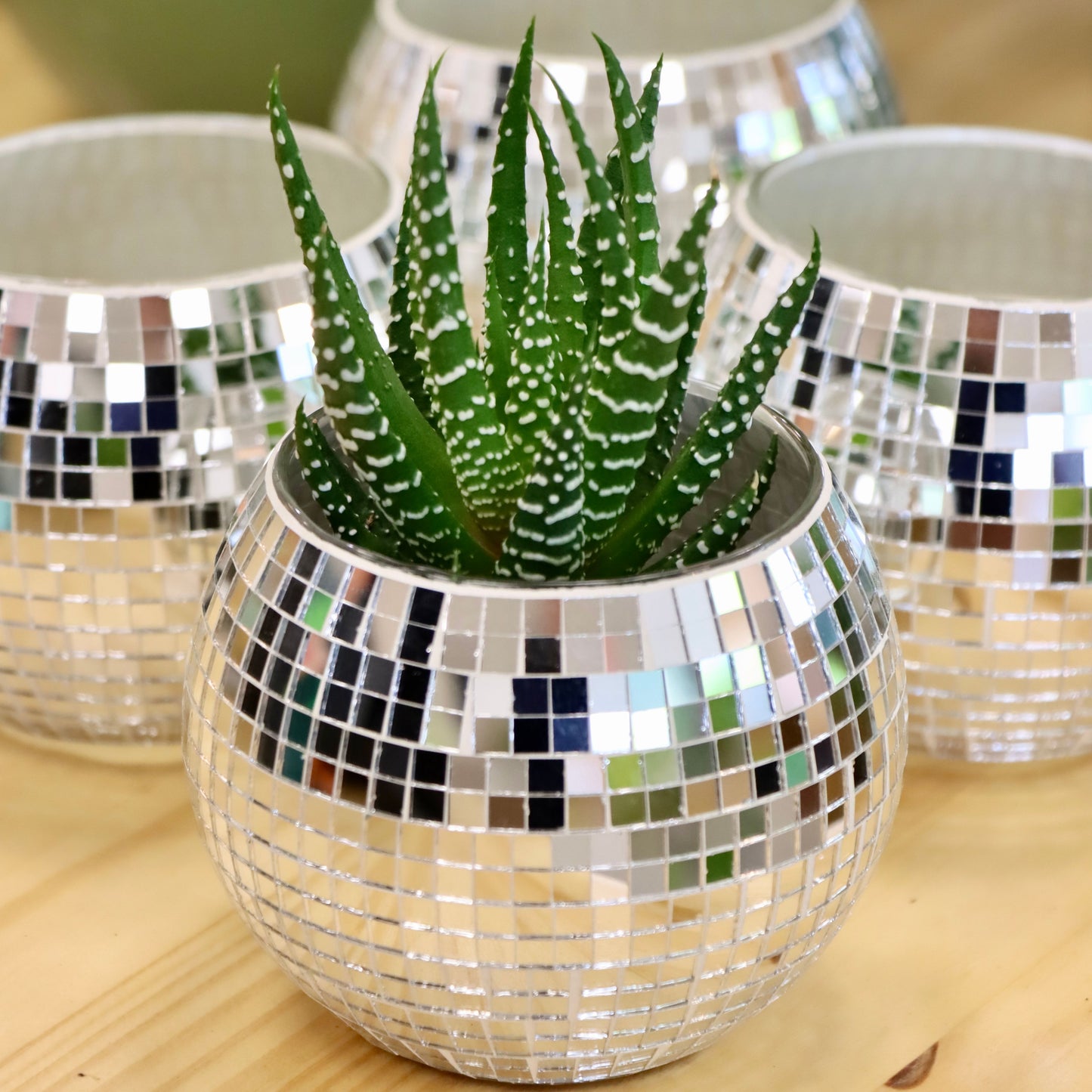 Disco Ball Planter