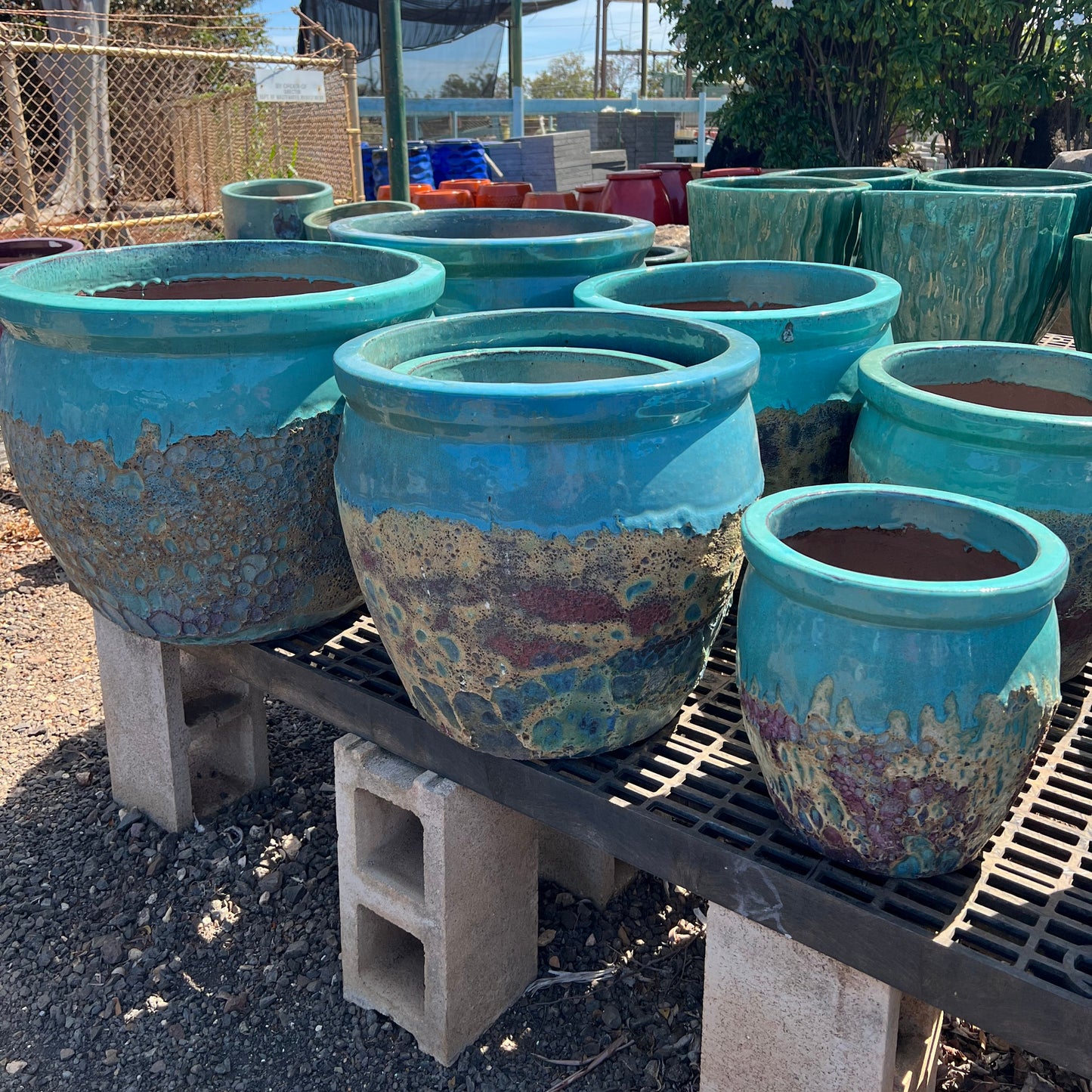 Teal Coral Ceramic Planter