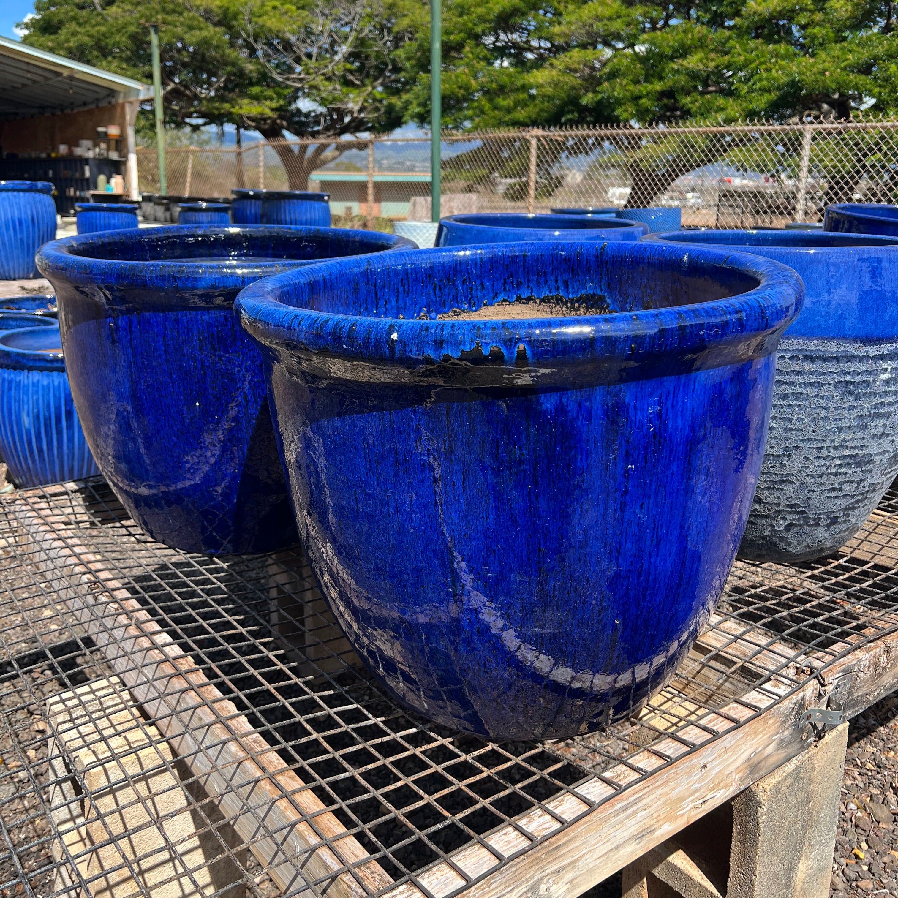 large glazed plant pots Blue Tapered Ceramic Planter – Mari's Gardens