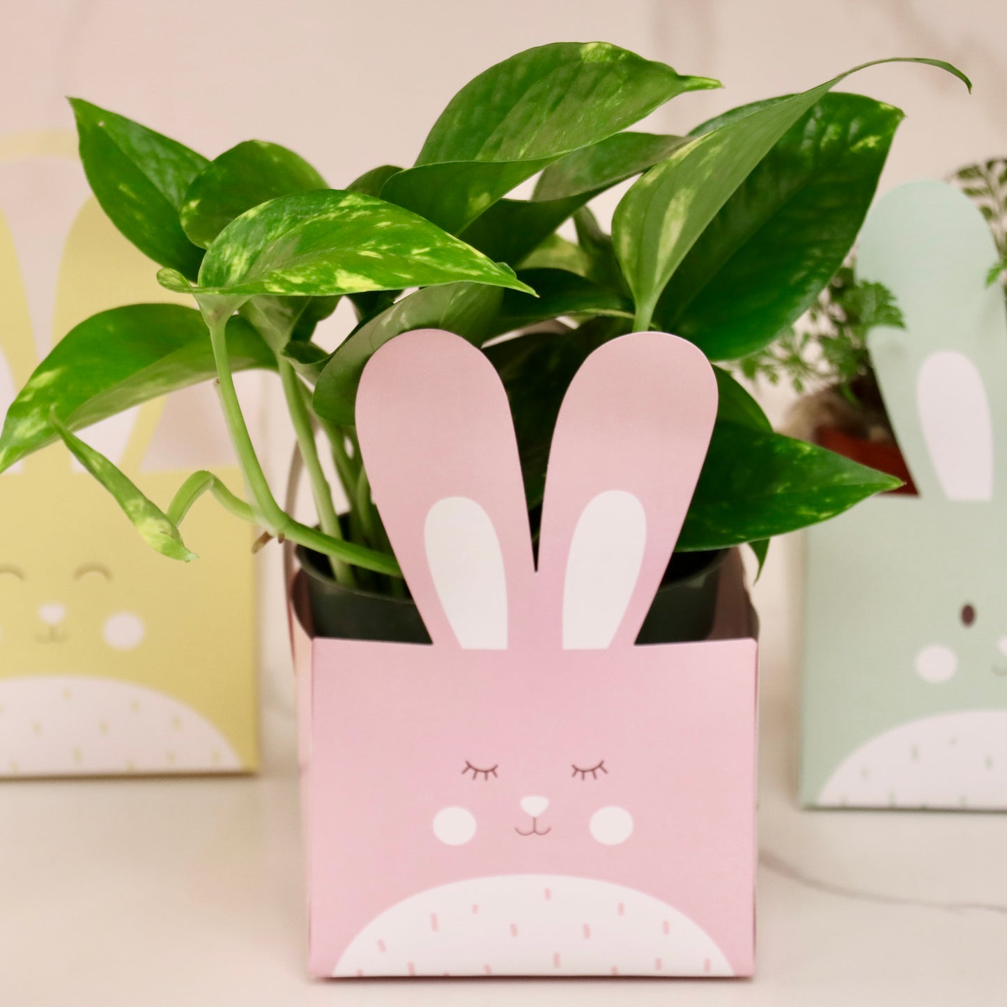 Easter Bunny Treat Basket