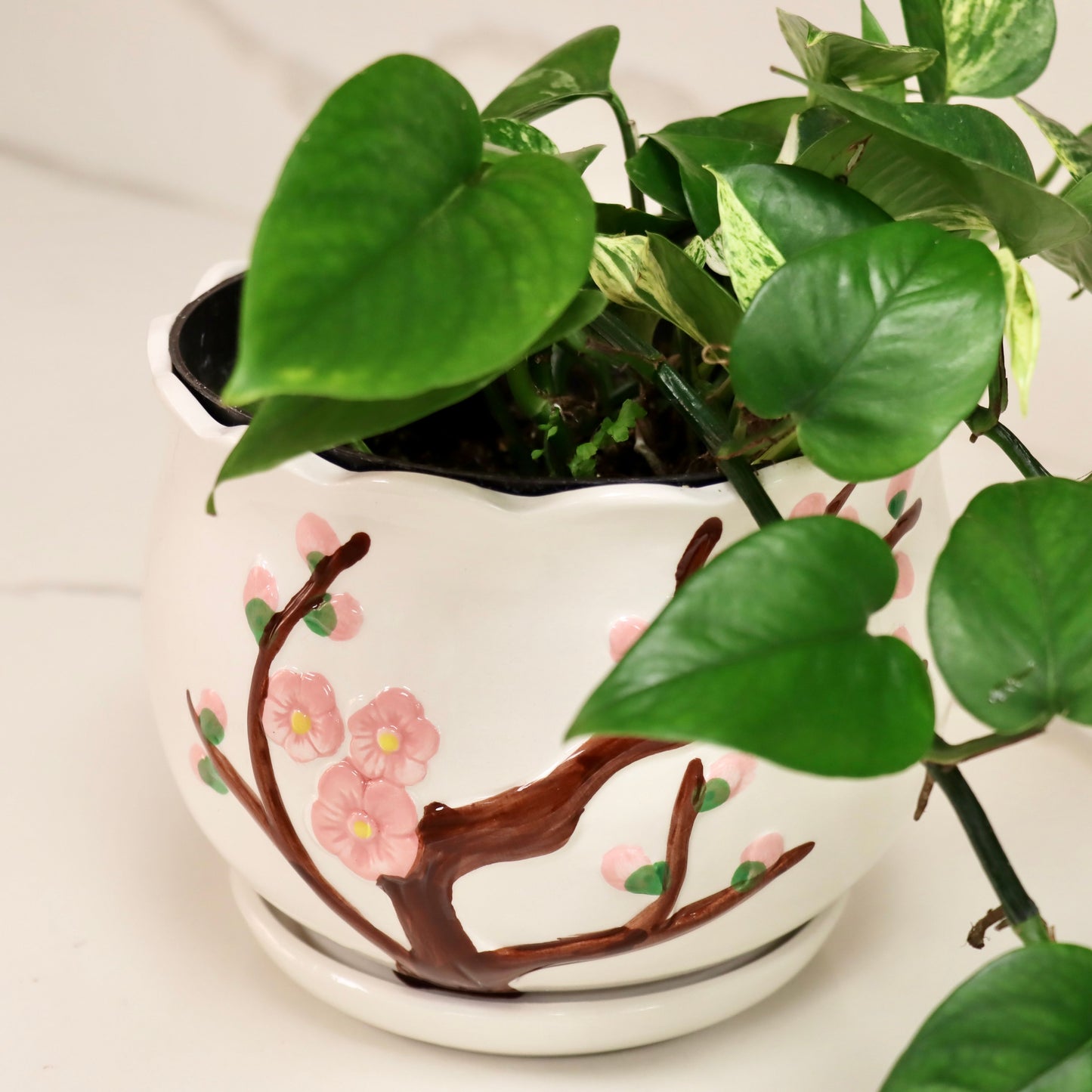 Ceramic Flower Planter