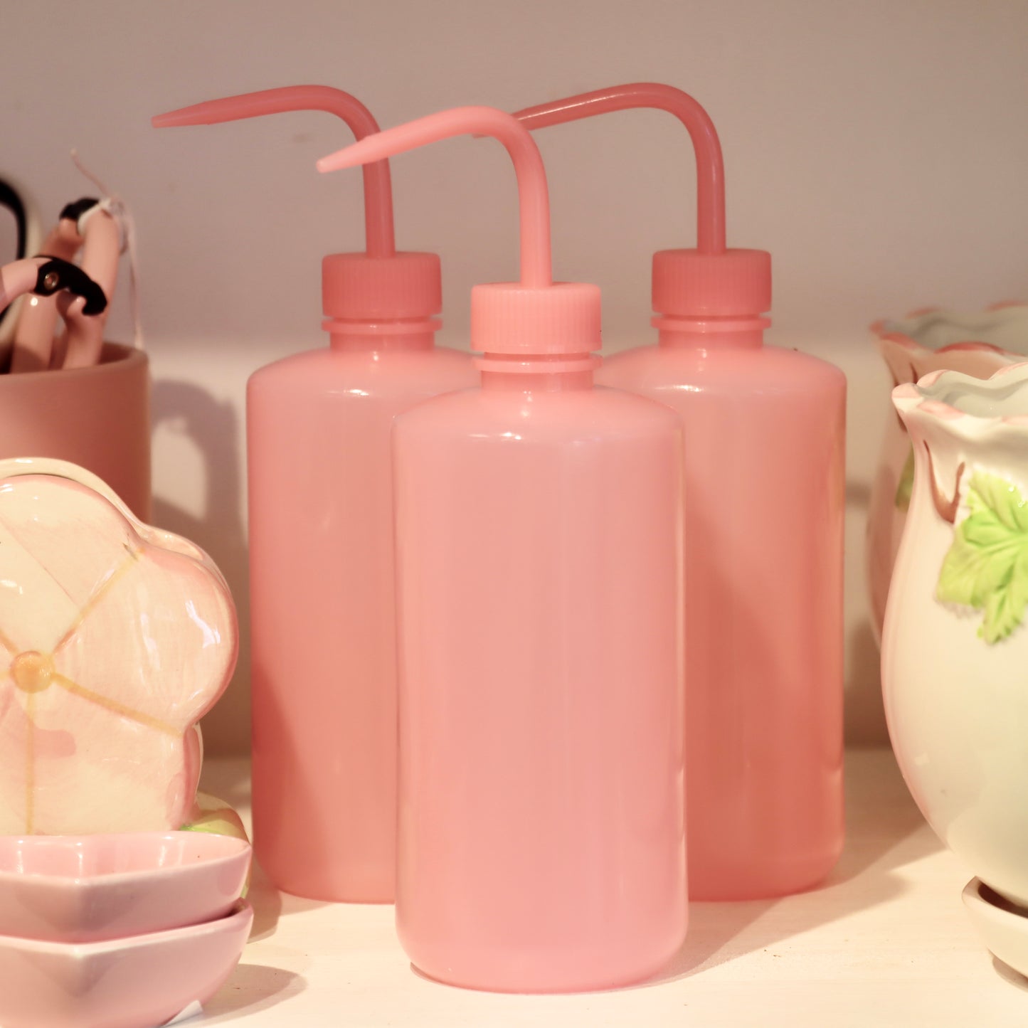 Watering Squeeze Bottle with Spout