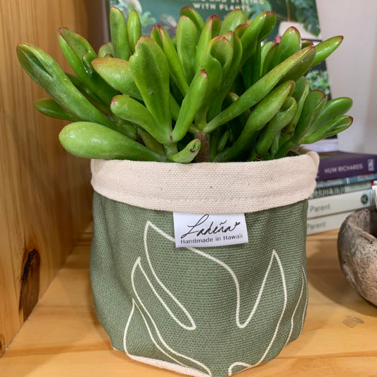 Ladena Fabric Pots