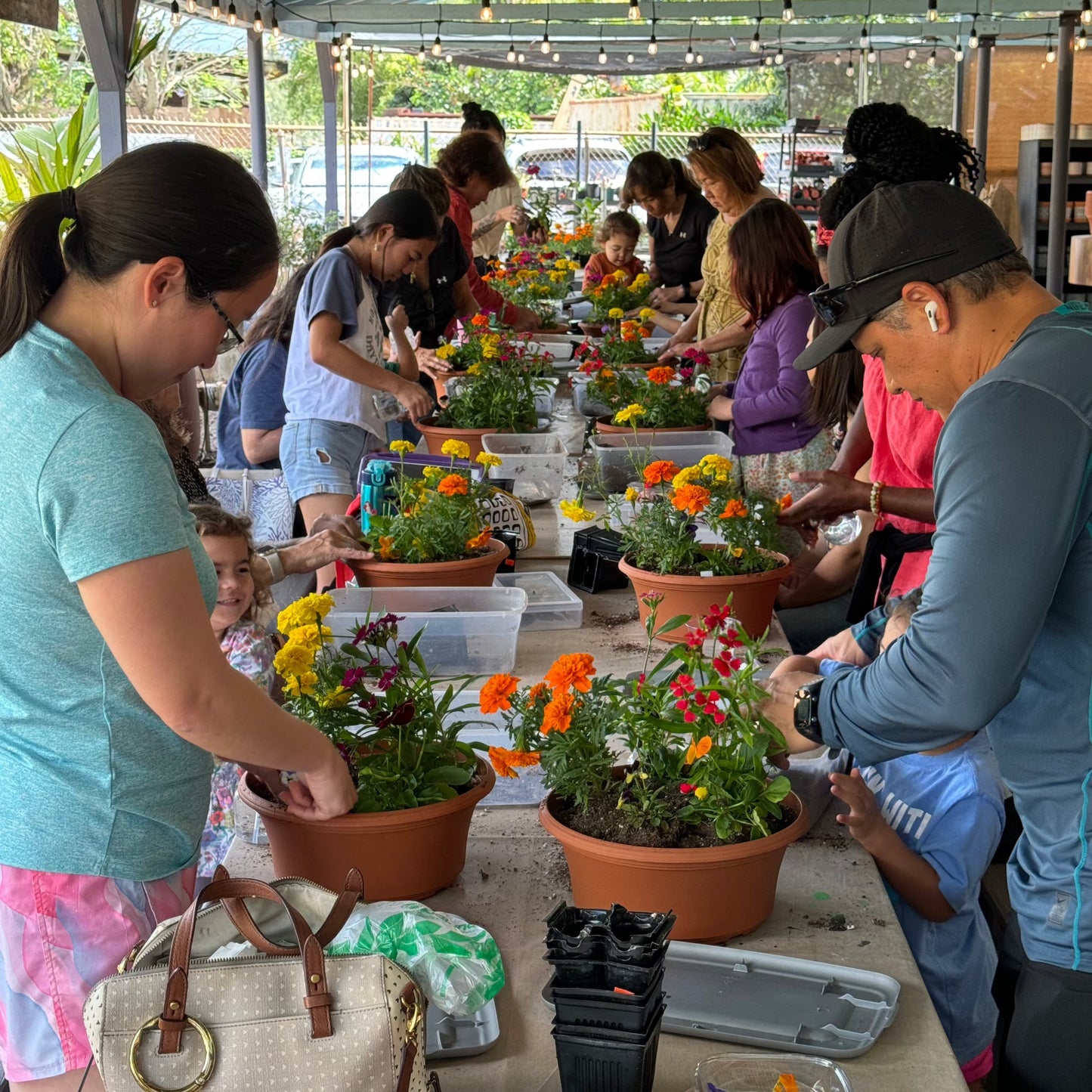 Edible Flower Garden Workshop