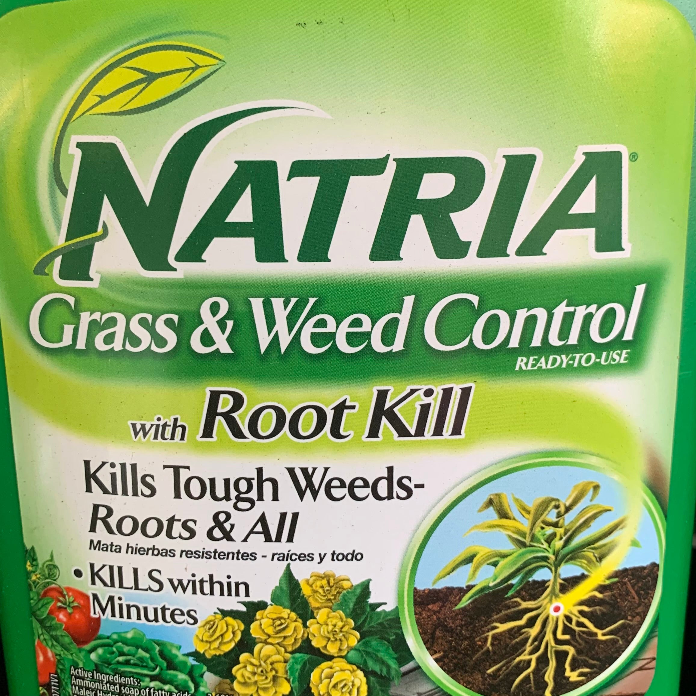 natria herbicide Natria Lawn Weed Disease Control Rtu 24 oz