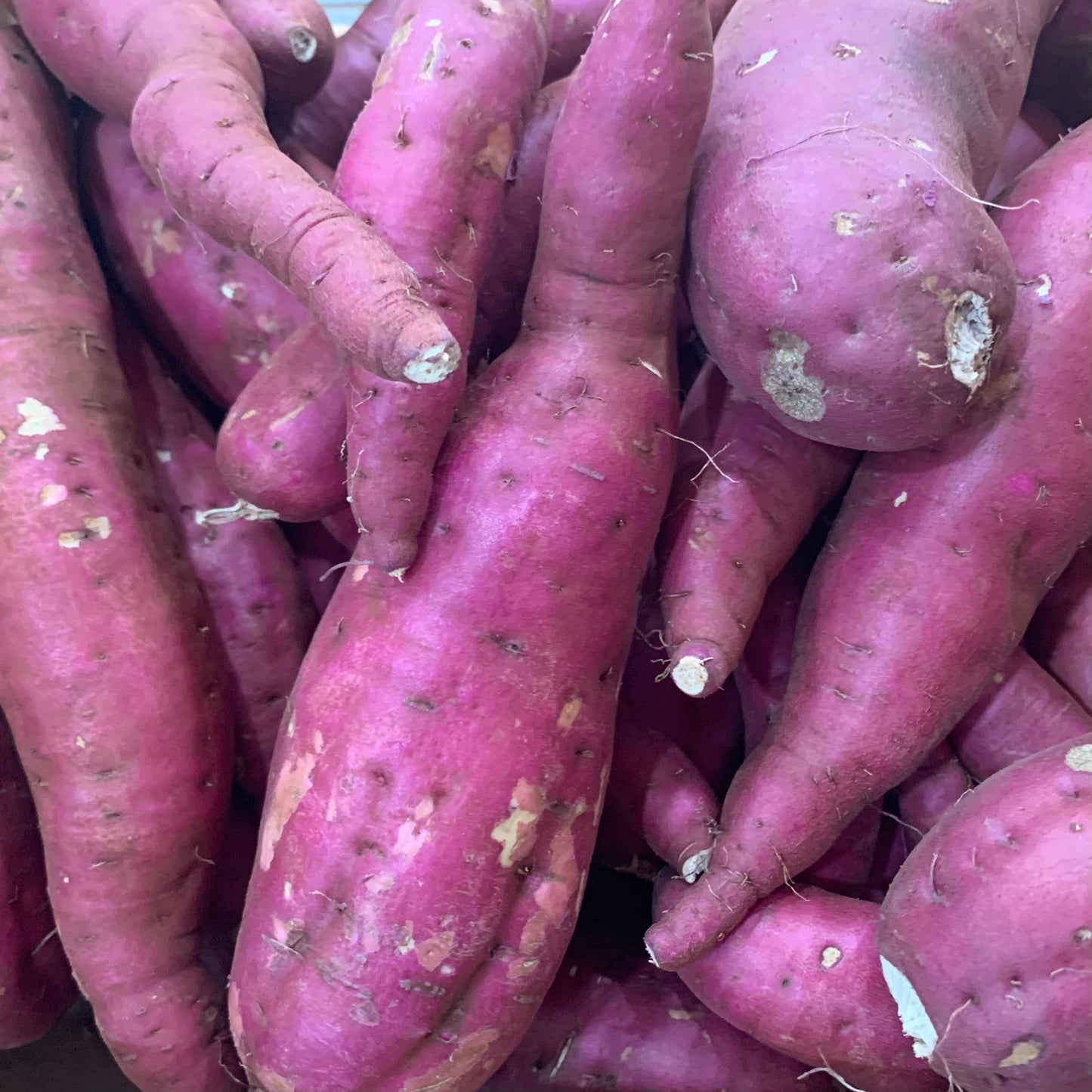 Satsuma Sweet Potato, lb