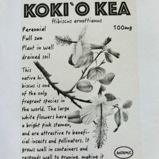 Koki'o Kea, seeds