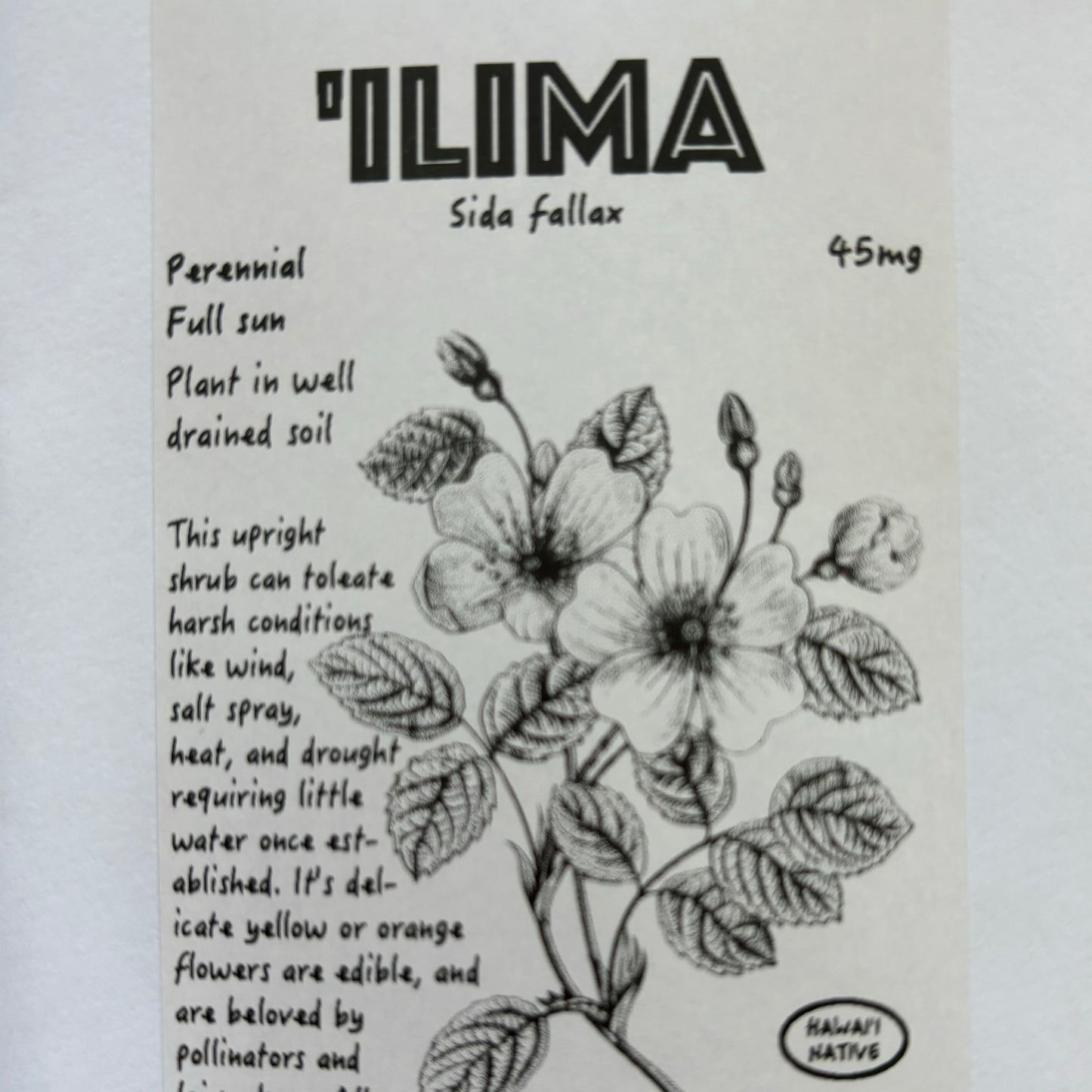 'Ilima, seeds