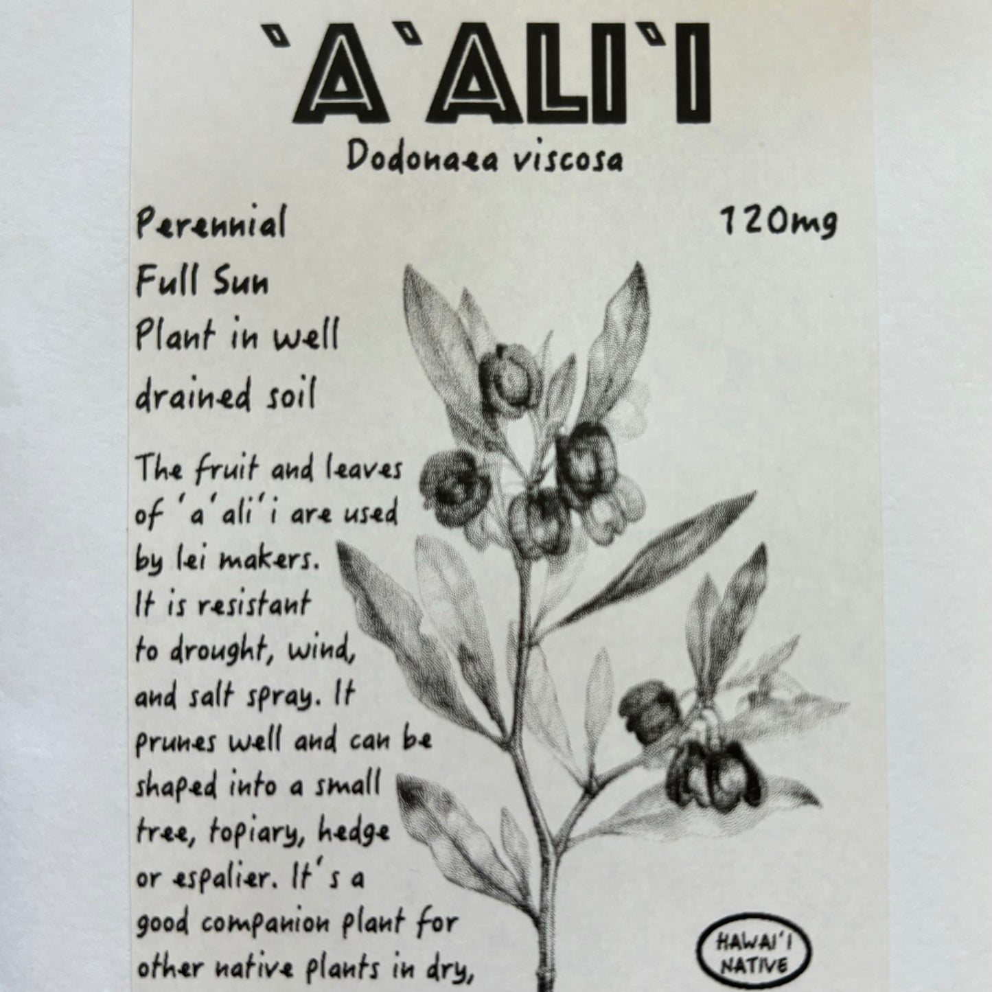 'A'ali'i, seeds