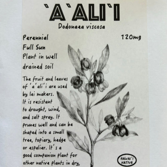 'A'ali'i, seeds