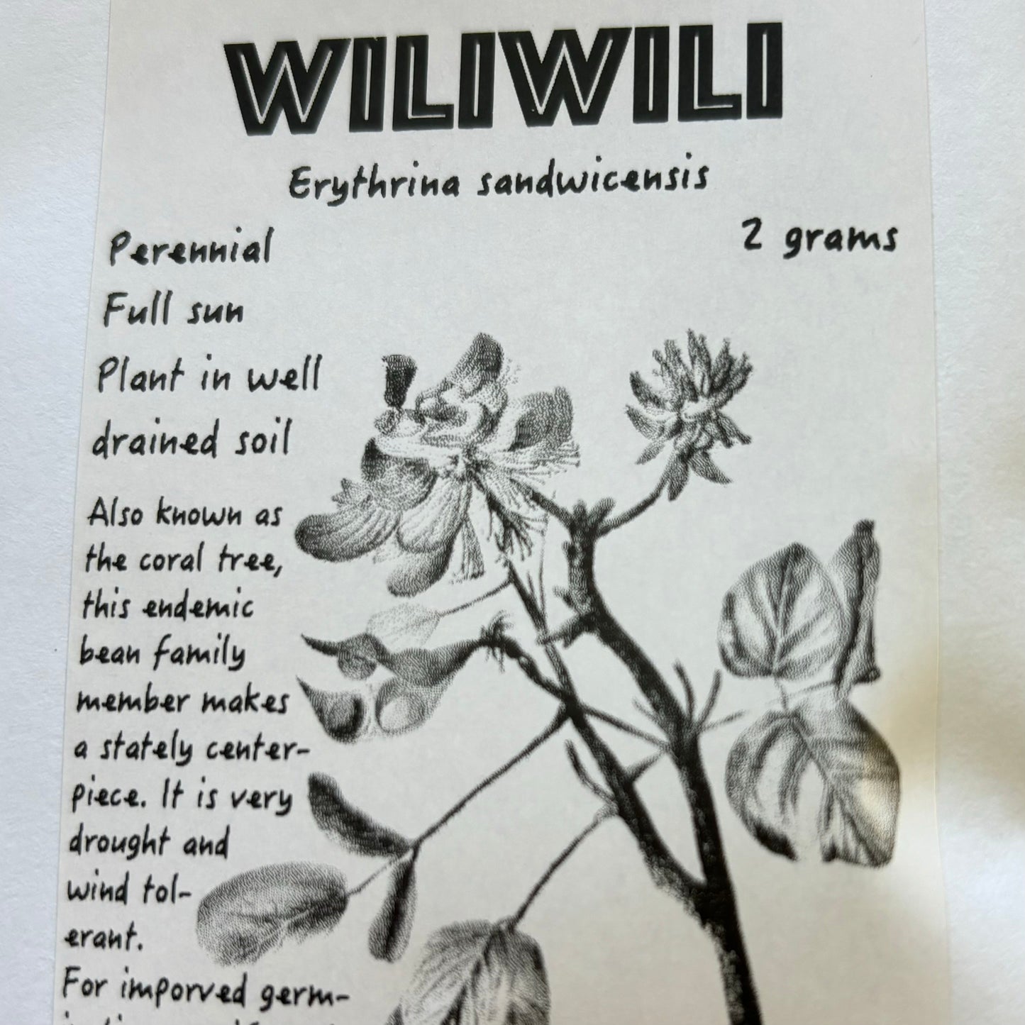 Wiliwili, seeds