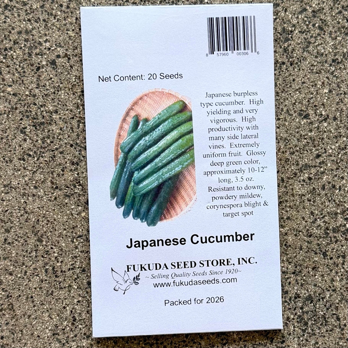 Cucumber, Japanese, seeds