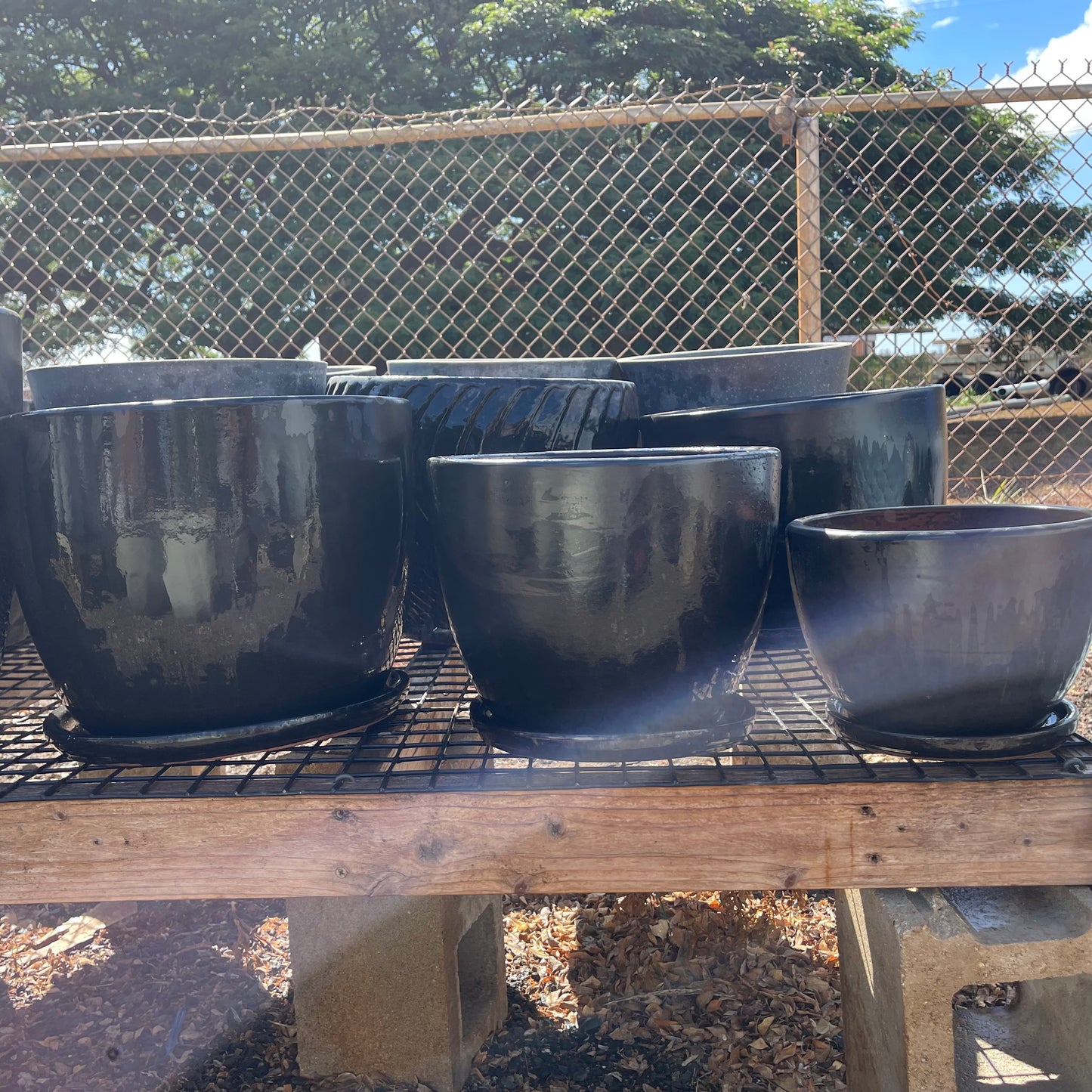 Jefferson Planter Black