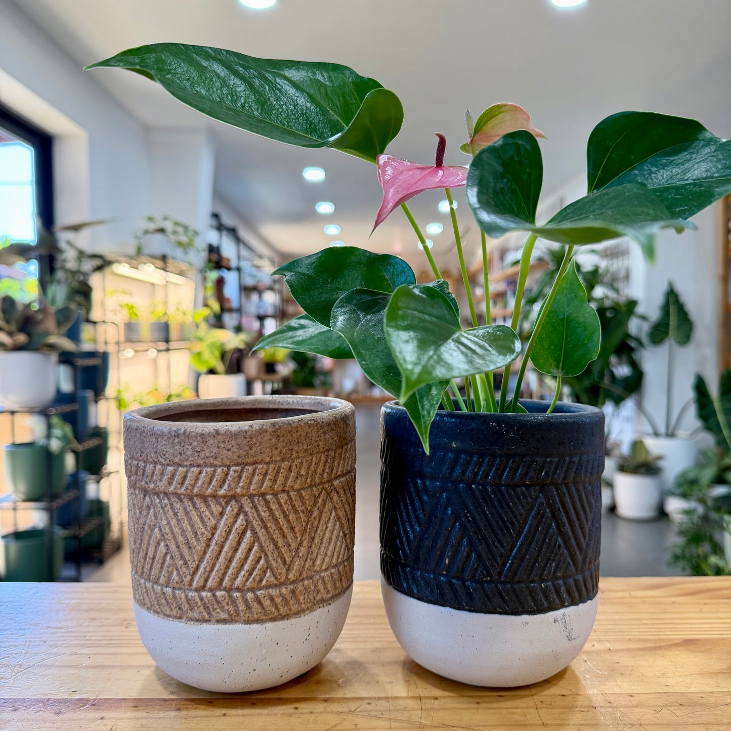 6" Kabwe Planter