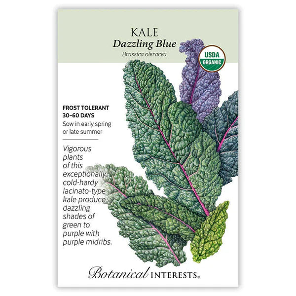 Kale seeds, "Dazzling Blue"