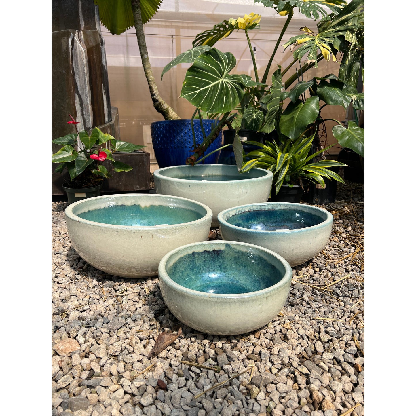 Kiel Low Water Bowl
