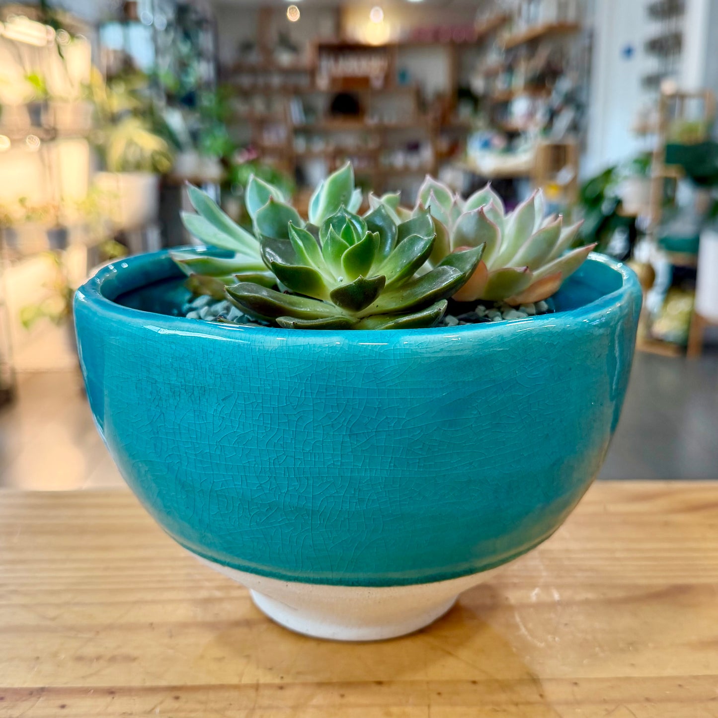 Kos Low Bowl