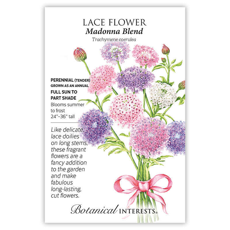Madonna Blend Lace Flower