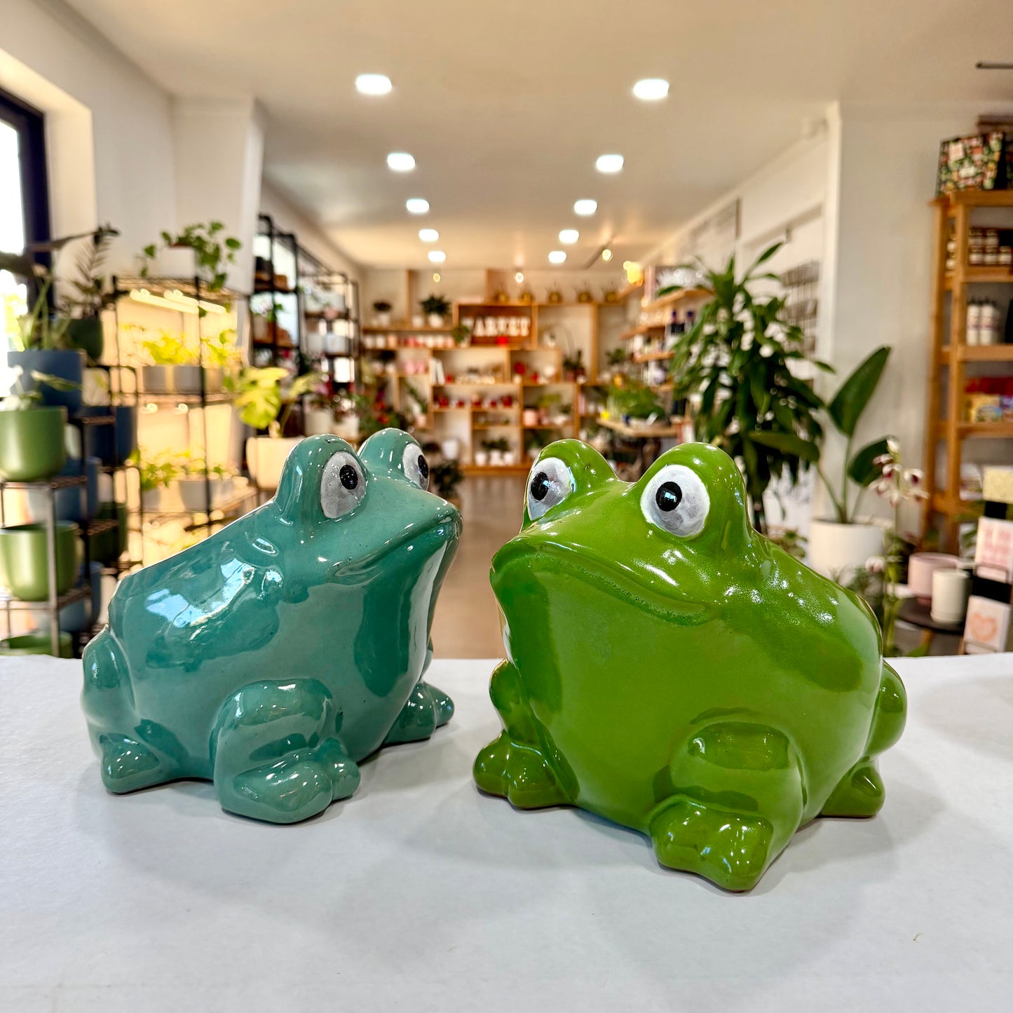 Large Frog Planter