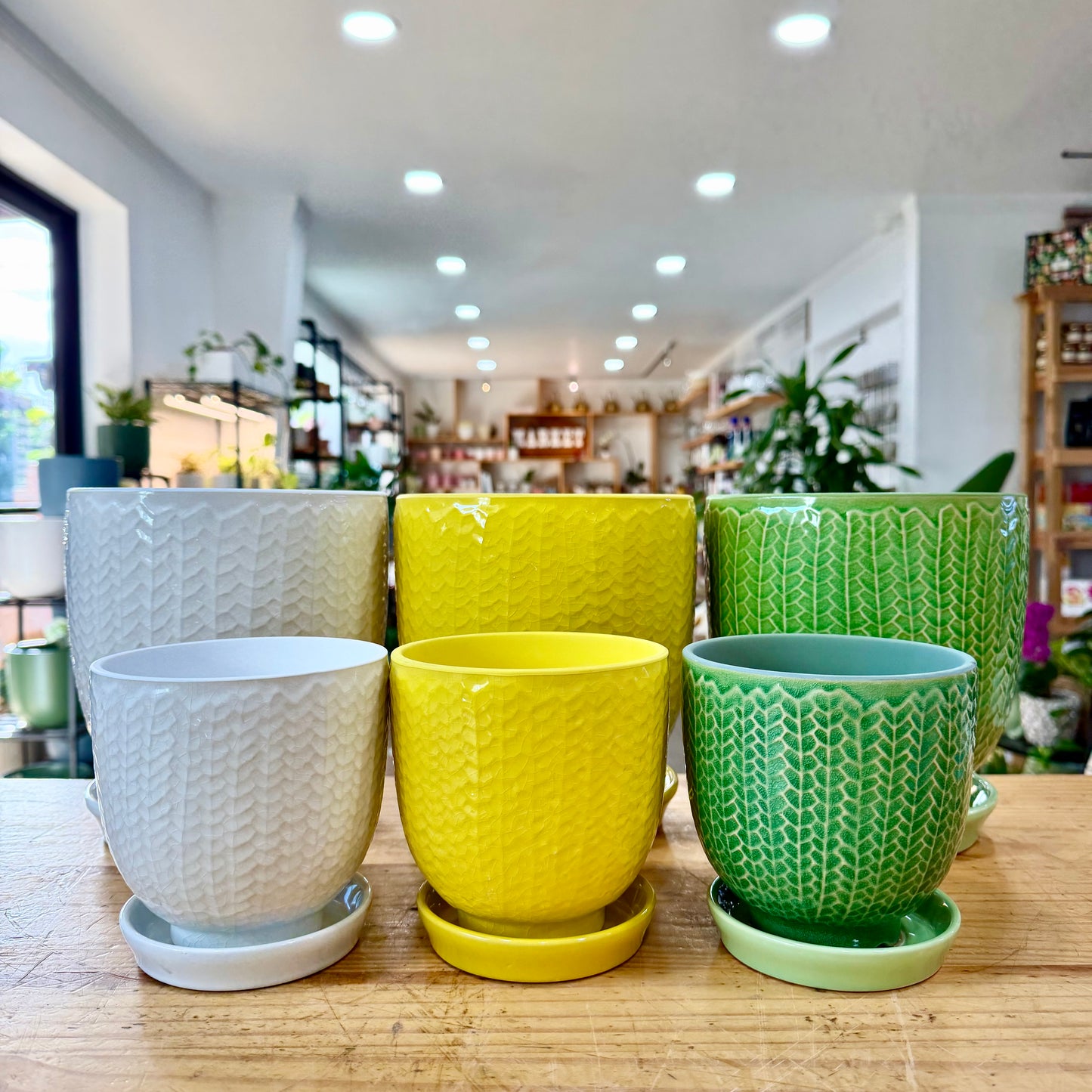 Linden Planter