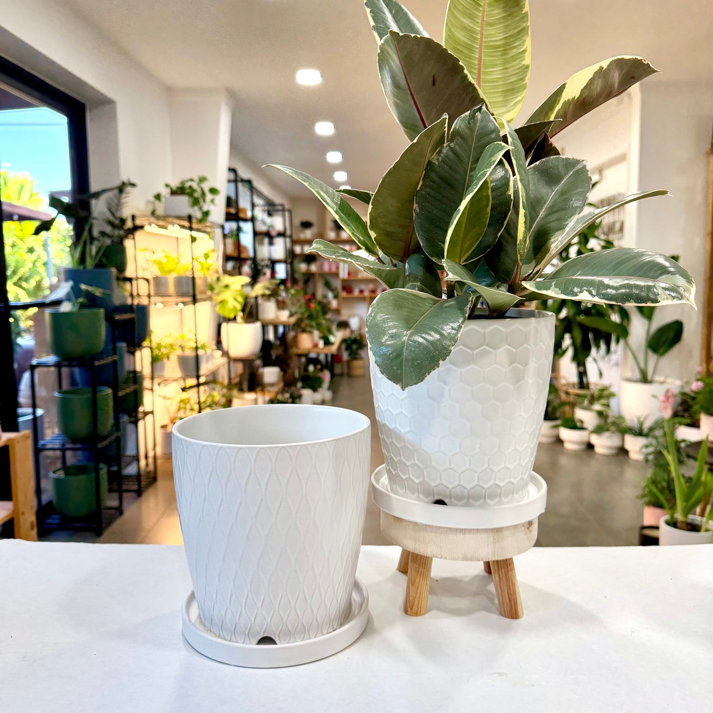 Matte White Planter